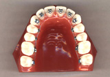 photo7.jpg